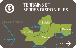 Terrains et serres disponible