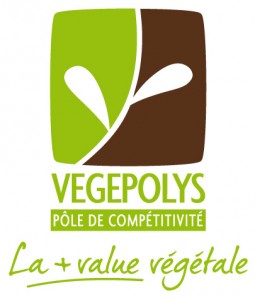 Végépolys